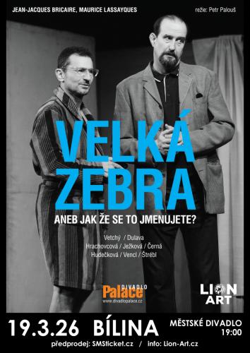 Velká zebra aneb Jak že se to jmenujete?